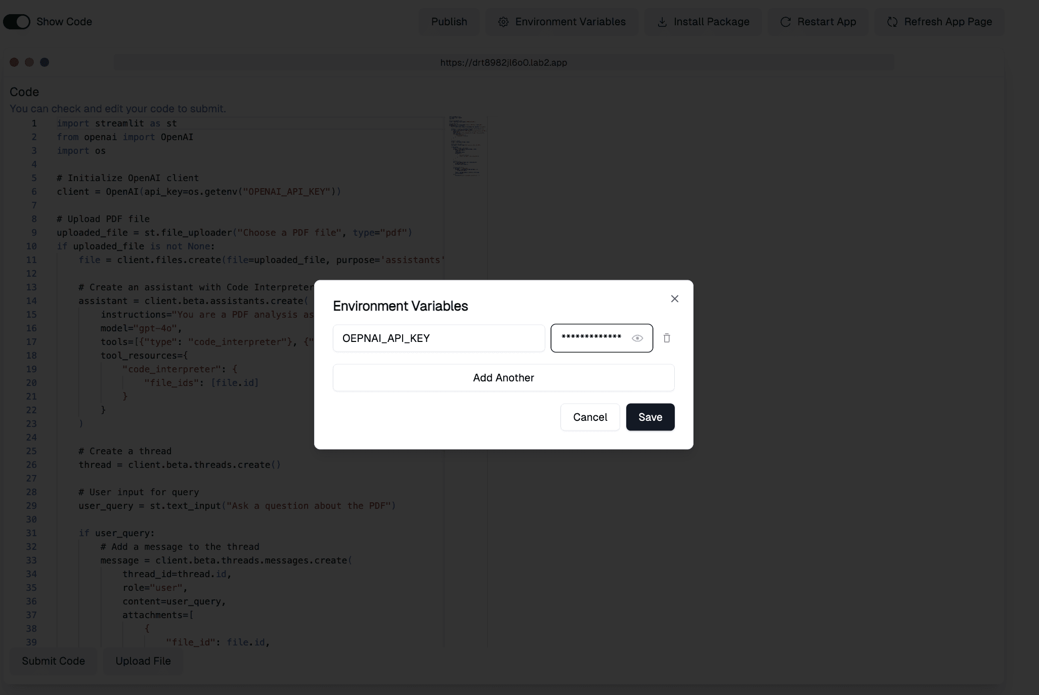 Configuring an API key as an environment variable in lab2