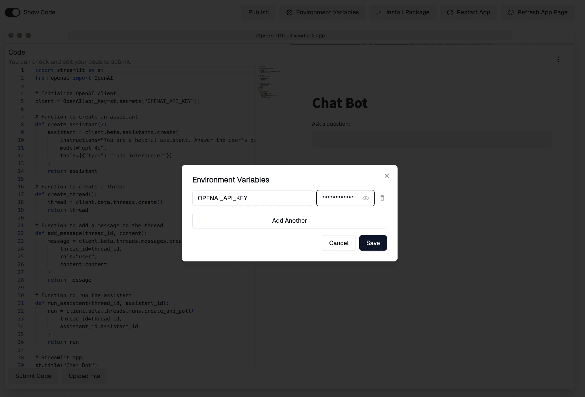 Configuring an API key as an environment variable in lab2